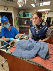 370200517_883495476480486_3035313387673217243_n