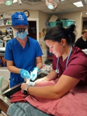 370236225_246201055100678_2321047575804524025_n