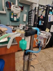 370282511_860377835490888_4893680806009984967_n