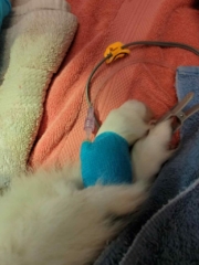 377315696_708210247890245_9050455458652881153_n