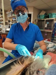 395180497_904317311121331_1985004464638683927_n