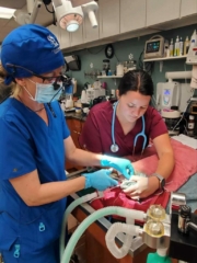 396303118_1421026355153194_9181837507377981254_n