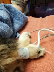 396398579_848150796808938_4335719341074113912_n