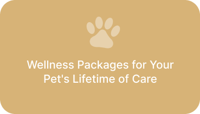 wellness-plan-image